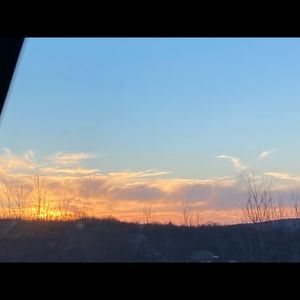 Meet your Posher, Honey n.